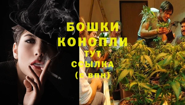стаф Балабаново