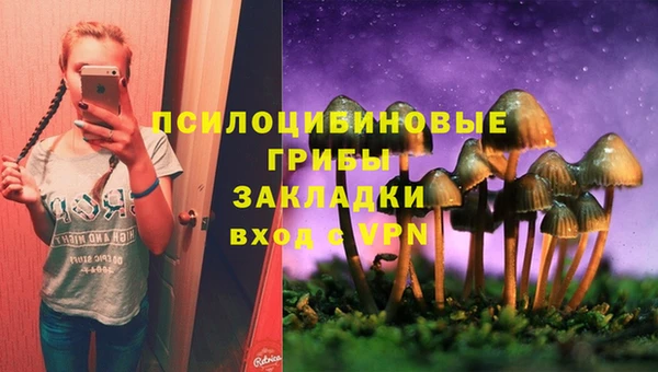 стаф Балабаново