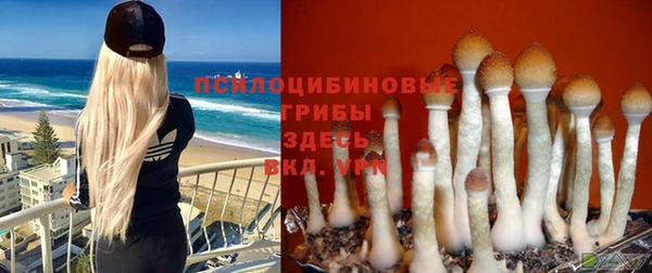 гидропоника Балахна